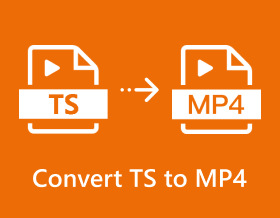 Convert Ts To Mp4