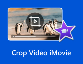 Crop Video Imovie