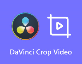 Davinci Crop Video