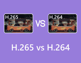 H265 대 H264-s