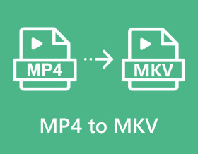 Mp4 To Mkv