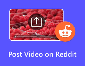 Post Video On Reddit