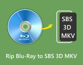 Rip Blu Ray To Sbs 3d Mkv