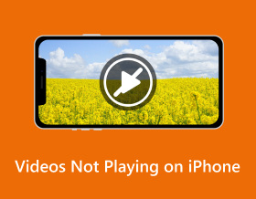 Videos Not Playing On Iphone