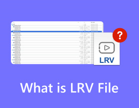 什麼是 Lrv 文件