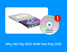 내 DVD ROM이 DVD를 재생하지 못하는 이유