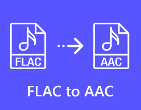 FLAC에서 AAC로