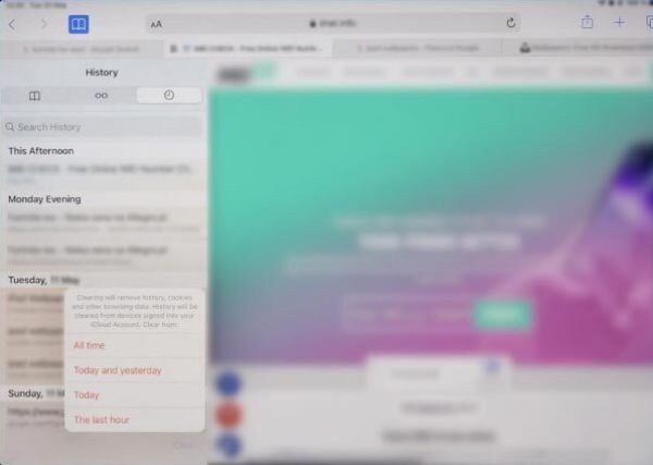 Ipad Safari History