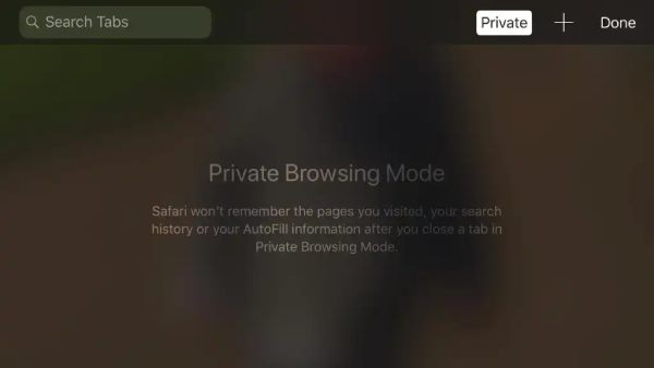 Ipad Safari Private Mode