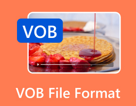 Vob File Format