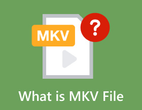 What Is Mkv File