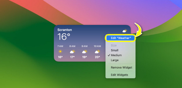 Edit Widget Details And Size