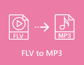 Flv 轉 Mp3