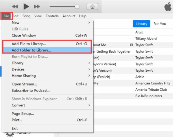 Add DVD to iTunes Library