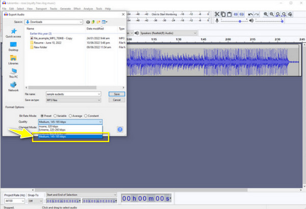 Audacity Change Format Options