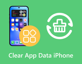 Clear App Data on iPhone S