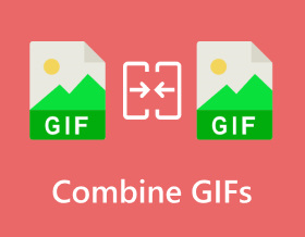 Combine GIFs S