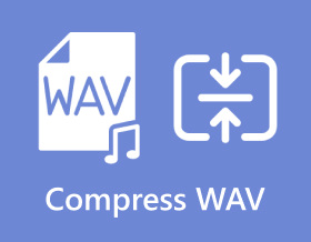 Compress WAV S