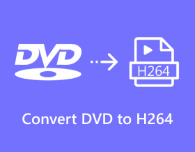 Convert DVD to H264 S