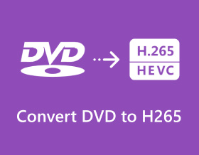 Převod DVD na H.265 S