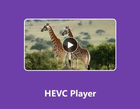 HEVC Player S