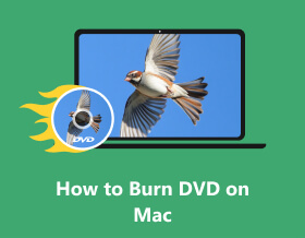 Jak vypálit DVD na Mac S