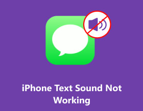 iPhone Text Sound Not Working S