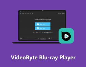 VideoByte jako Blu-ray přehrávač S