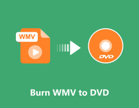 Brand WMV naar DVD S