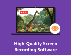 High Quality Screen Recording Software S